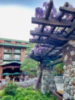 Spring-Wisteria-Grand-Californian