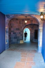 Stardust-Castle-Passthrough