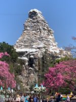 Watermarked5(2019-03-25-0151)