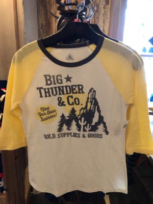 Disneyland Merchandise, Disneyland Merchandise Update: Castles Everywhere