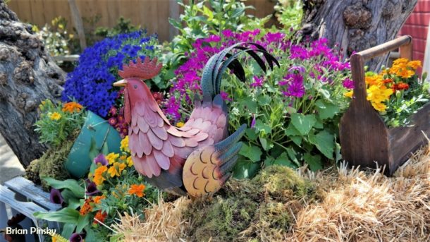 Knott's Boysenberry Festival, Have a Berry Good Time at Knott’s Boysenberry Festival