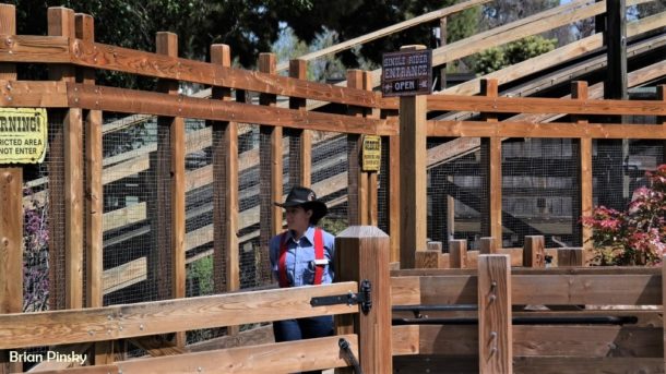 Knott's Boysenberry Festival, Have a Berry Good Time at Knott’s Boysenberry Festival