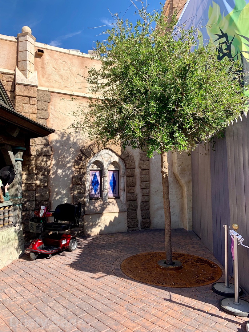 , Disneyland Update – It’s a Wall World
