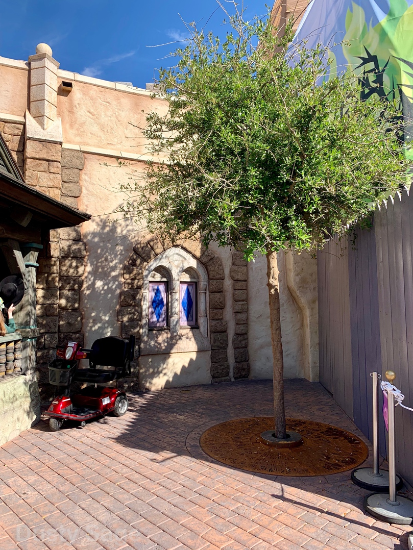 , Disneyland Update &#8211; It&#8217;s a Wall World