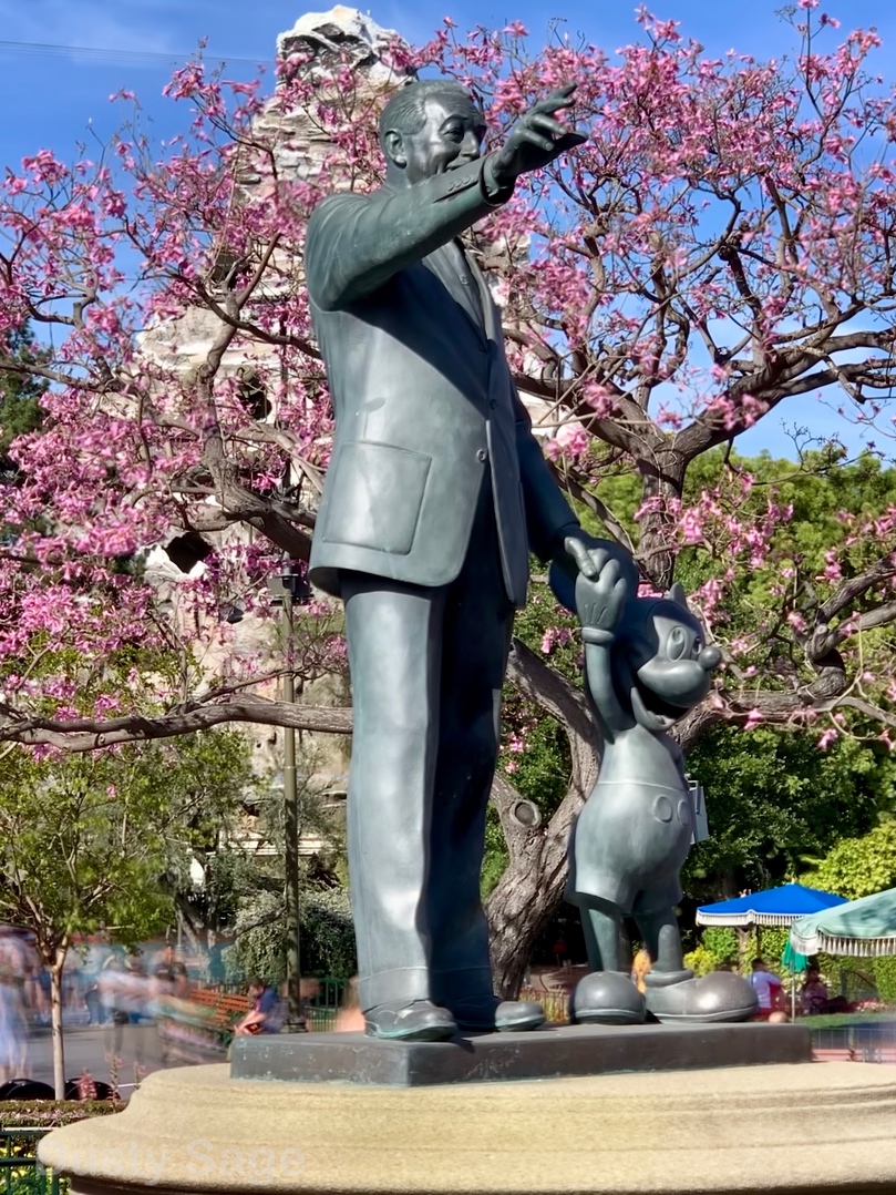 , Disneyland Update – It’s a Wall World