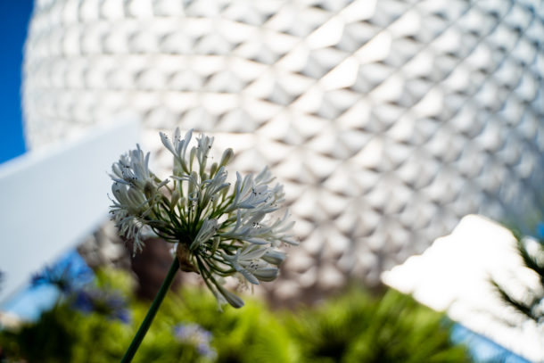 Epcot Construction, Dateline Disney World: Times Are-A-Changin&#8217; at Epcot