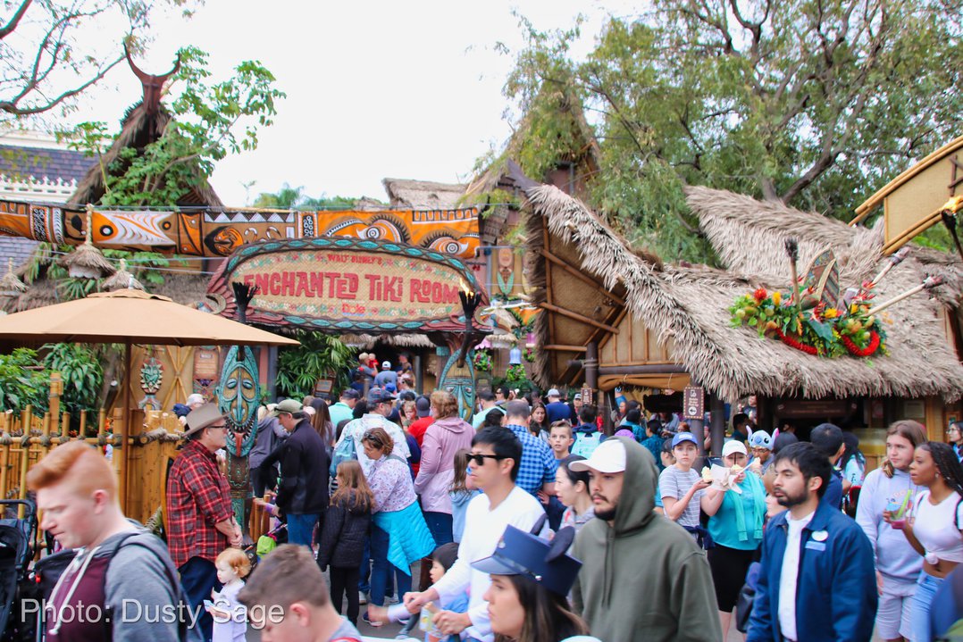 , Disneyland Update – New Star Wars Details, Stardust Expands, Springtime in the Parks