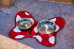 Disneyland-Disney-Home-Dog-Water