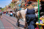 Disneyland-Disneyland-Main-Street-Trolly