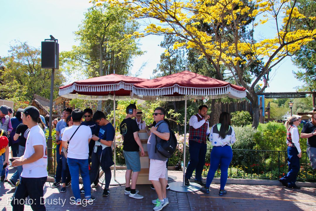 , Disneyland Update – New Star Wars Details, Stardust Expands, Springtime in the Parks