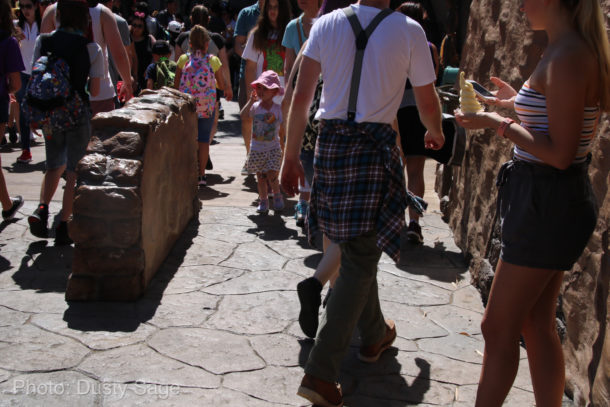 , Disneyland Update – Sign of the Times