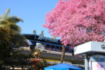 Disneyland-IMG_1640