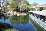 Disneyland-IMG_1644