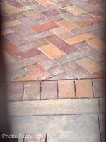 Disneyland-IMG_7290