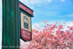 Disneyland-Red-Car-Sign
