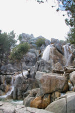 Disneyland-Spring-Grizzly