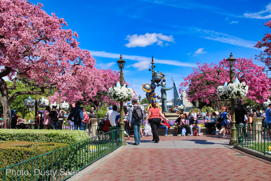 , Disneyland Update &#8211; New Star Wars Details, Stardust Expands, Springtime in the Parks