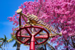 Disneyland-Spring-Monorail
