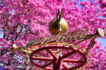 Disneyland-Spring-Monorail-Pink