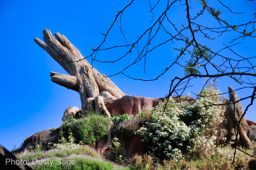 , Disneyland Update &#8211; New Star Wars Details, Stardust Expands, Springtime in the Parks