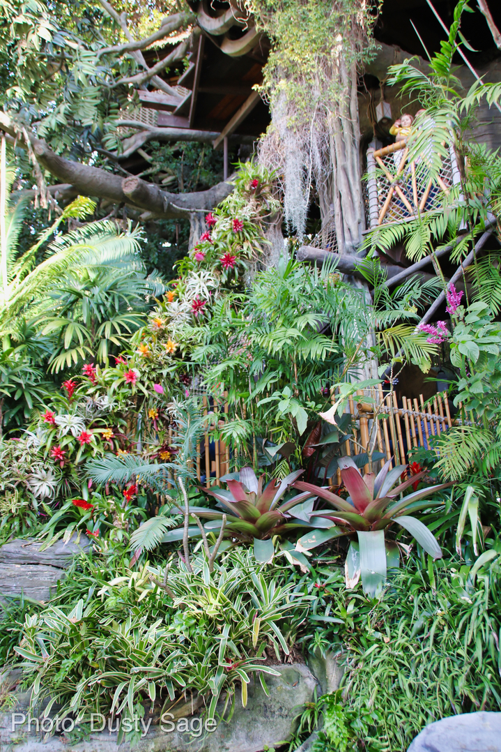 Disneyland-Spring-Tarzan-2