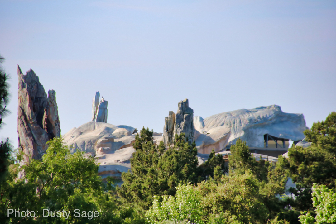 , Disneyland Update – New Star Wars Details, Stardust Expands, Springtime in the Parks