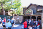 Disneyland-Stardust-Disneyland-Frontierland-Tree