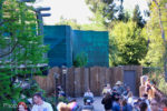 Disneyland-Stardust-Disneyland-Hungry-Bear-6