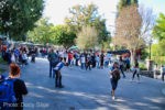 Disneyland-Stardust-Disneyland-New-Orleans-Square-Garden-from Mansion-2