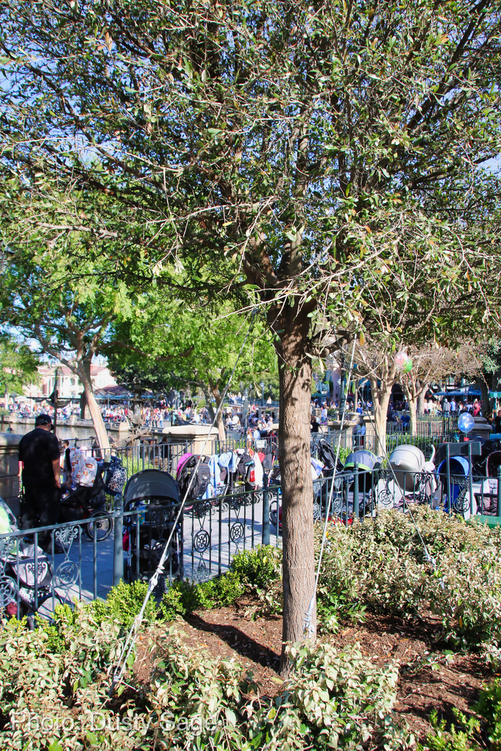 , Disneyland Update – New Star Wars Details, Stardust Expands, Springtime in the Parks