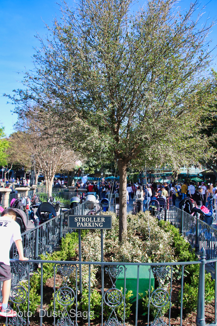 , Disneyland Update – New Star Wars Details, Stardust Expands, Springtime in the Parks