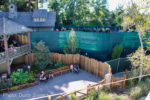 Disneyland-Stardust-Hungry-Bear-Star-Wars-Entry-3