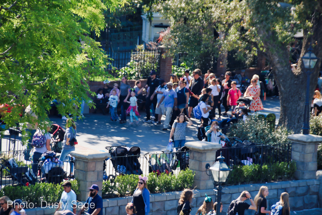 , Disneyland Update – New Star Wars Details, Stardust Expands, Springtime in the Parks