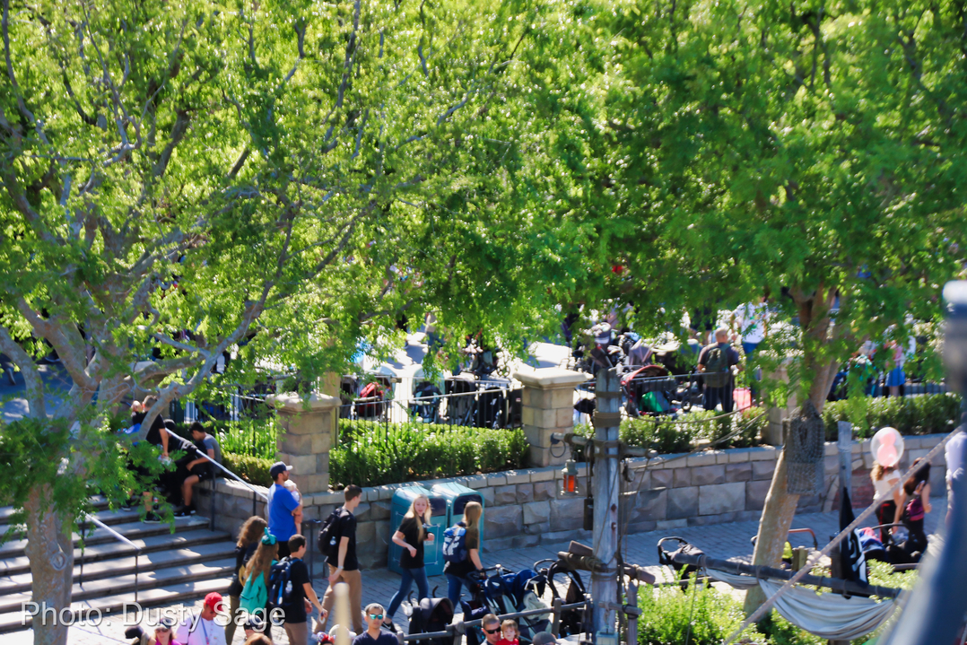 , Disneyland Update – New Star Wars Details, Stardust Expands, Springtime in the Parks