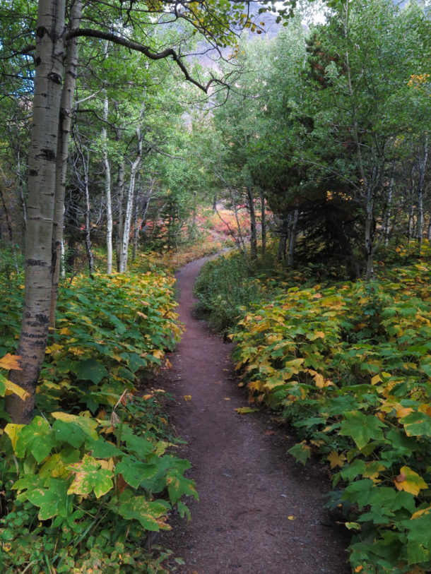 Glacier National Park, Glacier National Park: Northern Exploresure Part 4