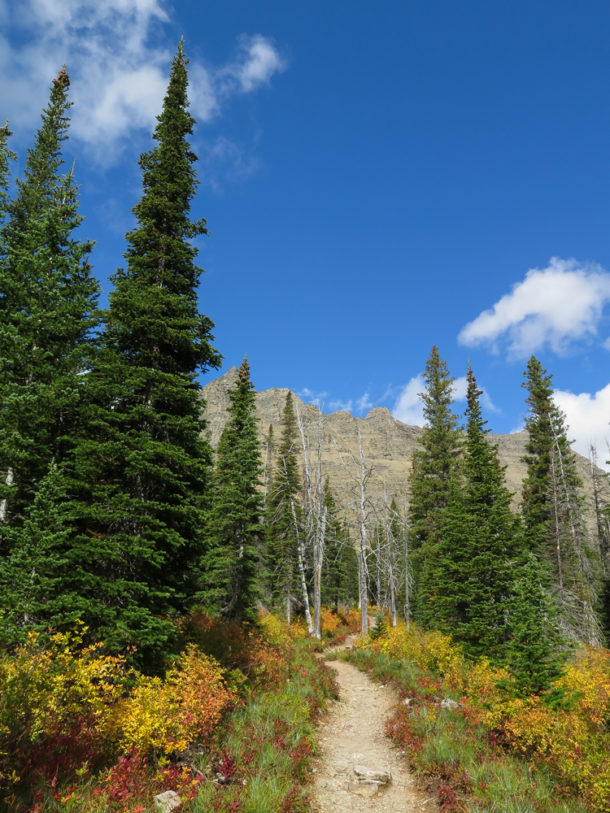 Glacier National Park, Glacier National Park: Northern Exploresure Part 4