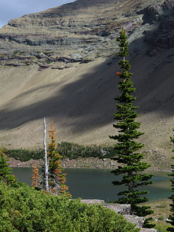 Glacier National Park, Glacier National Park: Northern Exploresure Part 4