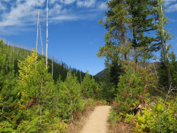 Glacier National Park, Glacier National Park: Northern Exploresure Part 4