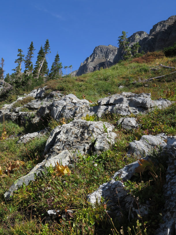 Glacier National Park, Glacier National Park: Northern Exploresure Part 4