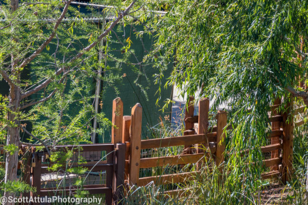 , Disneyland Update – Wow, Wow, Wow Weekend For Disneyland