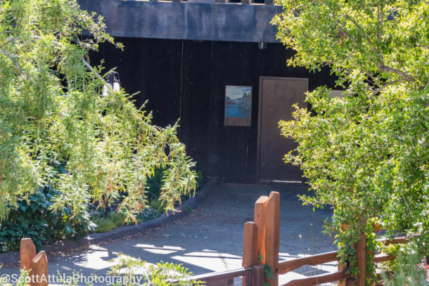 , Disneyland Update – Wow, Wow, Wow Weekend For Disneyland