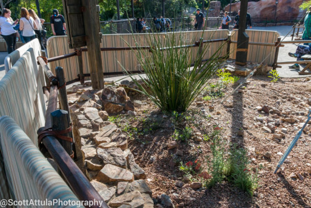 , Disneyland Update – Wow, Wow, Wow Weekend For Disneyland