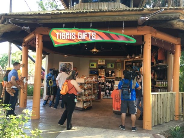 Tigris Busch Gardens, Tigris Roars at Busch Gardens Tampa