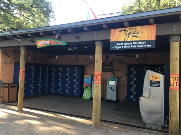 Tigris Roars At Busch Gardens Tampa