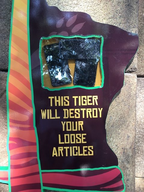 Tigris Busch Gardens, Tigris Roars at Busch Gardens Tampa