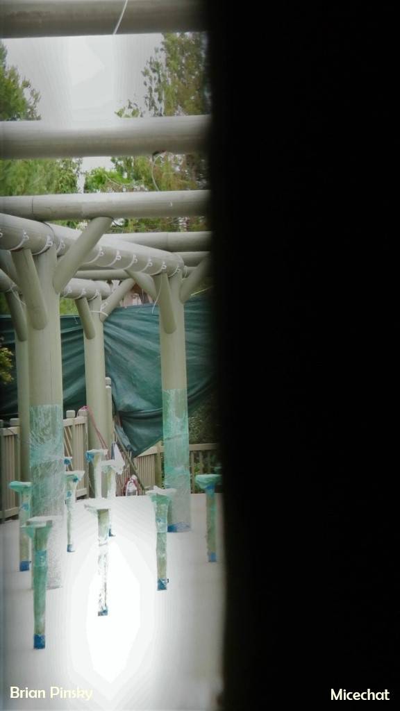 , Surprise Disneyland Resort Update: Oh So Close