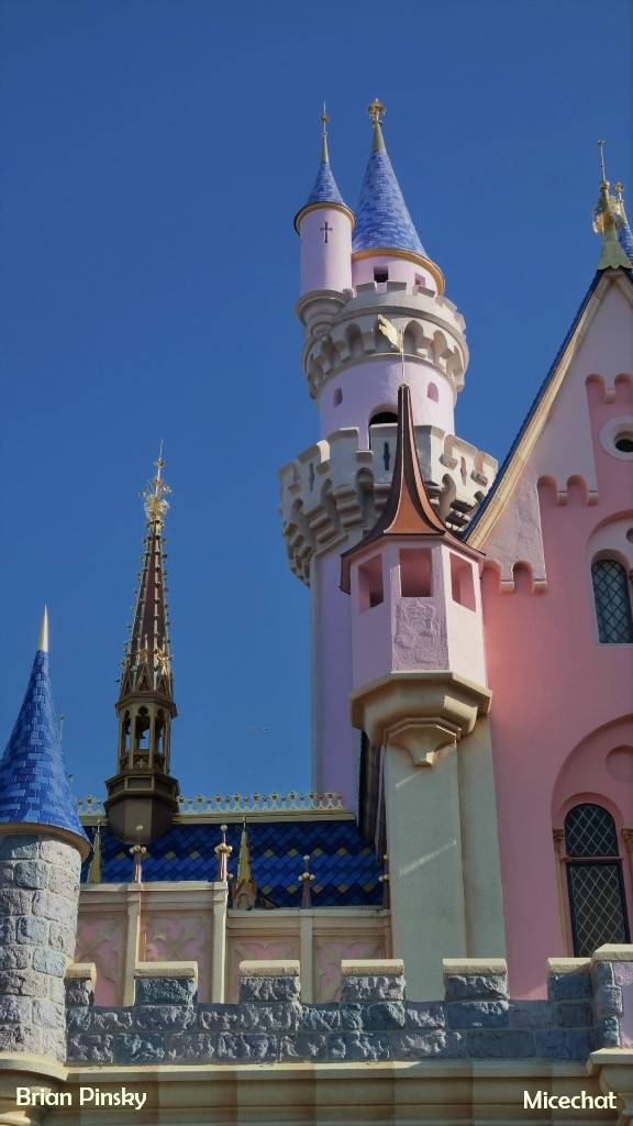 , Surprise Disneyland Resort Update: Oh So Close
