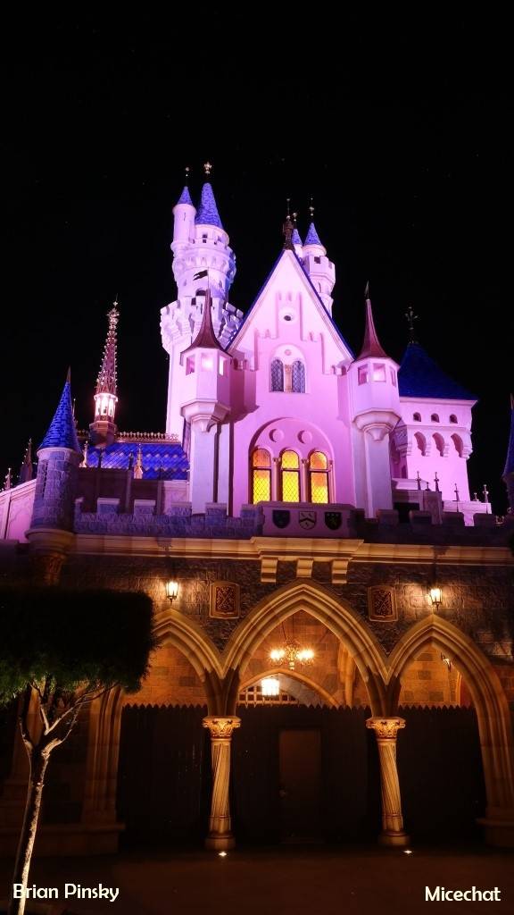 , Surprise Disneyland Resort Update: Oh So Close
