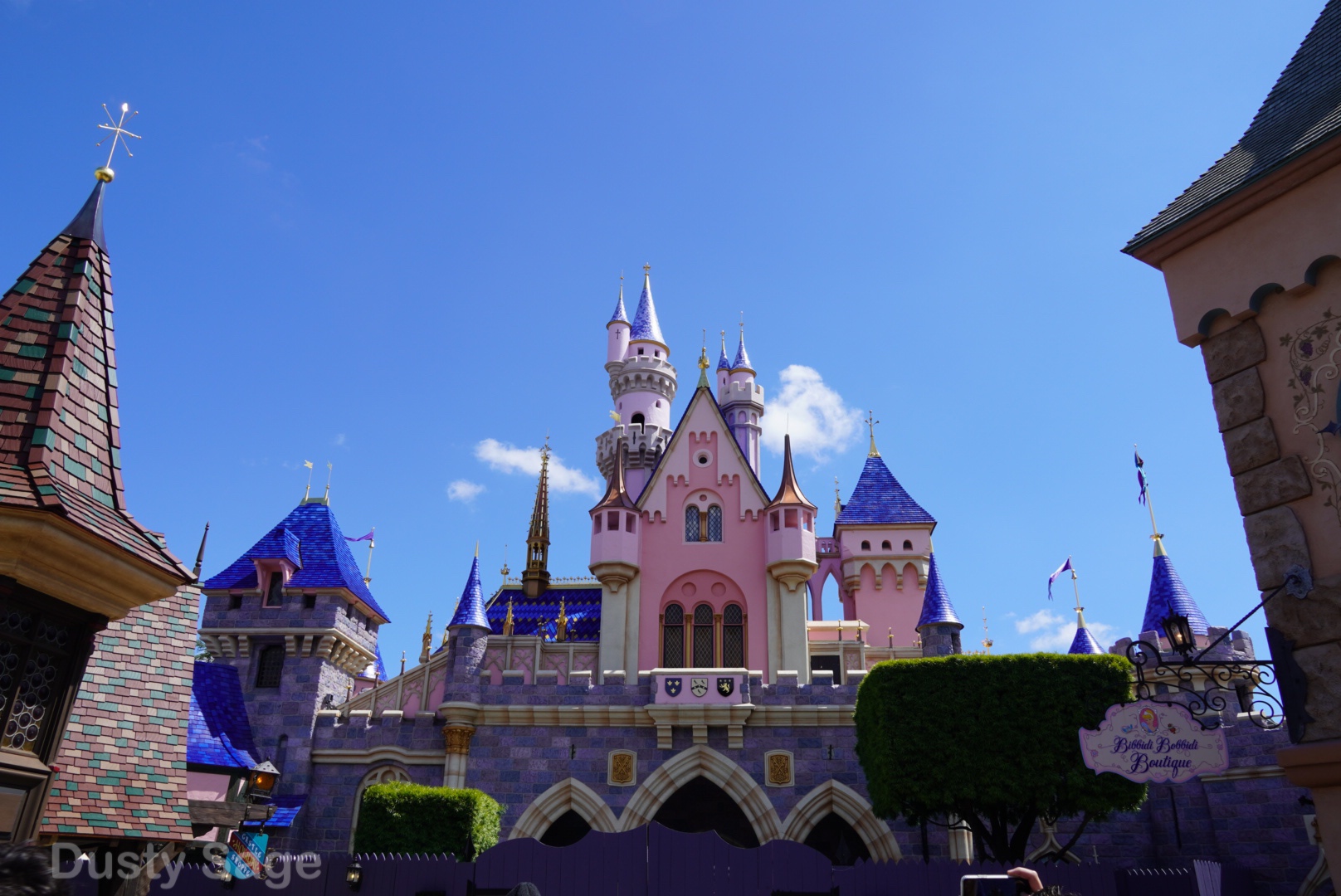 , Disneyland Update – Beauty Awakens, Ears End & Honeyboo You