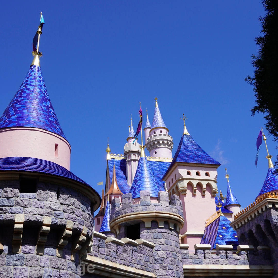 , Disneyland Update – Beauty Awakens, Ears End & Honeyboo You